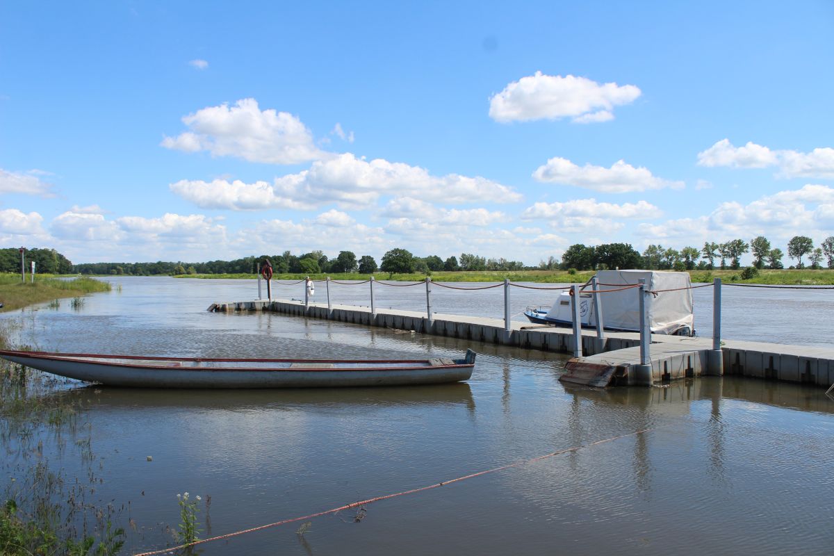 Odra w Scinawie, 23.06 (5)