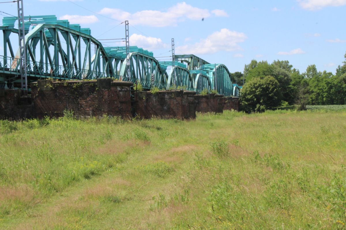 Odra w Scinawie, 23.06 (7)