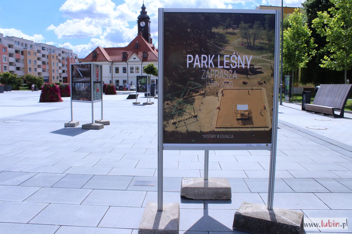 Park Leśny w rynku