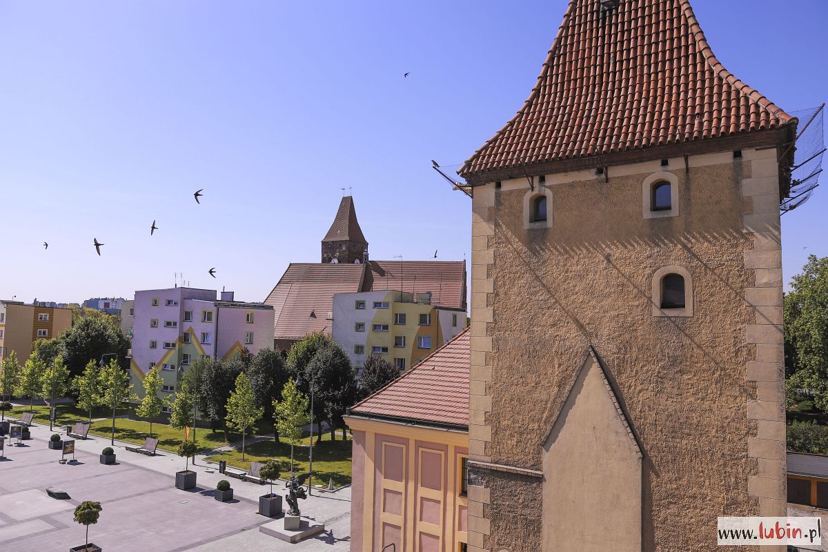 Baszta Głogowska znowu będzie jak nowa