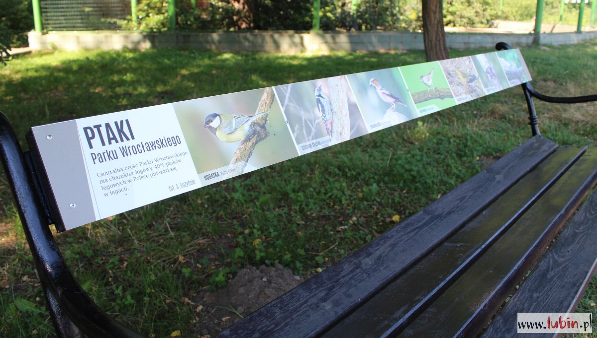 Informacje z pierwszej… ławki