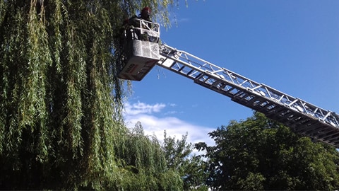 118543433_333823387795403_4839339462014638956_n