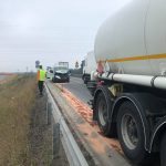 120229276_1226238631068303_1629091400223884785_n