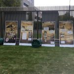 120315613_4430235403717838_1995756726034303968_o