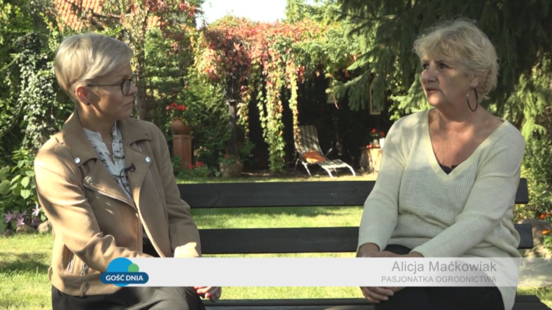 Gość Dnia – Alicja Maćkowiak