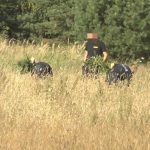 marihuana, policja, Kębłów, 2020 (1)