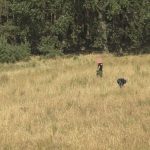 marihuana, policja, Kębłów, 2020 (3)