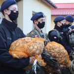 Hospicjum_Palium_żonkile_klasa_mundurowa (5)