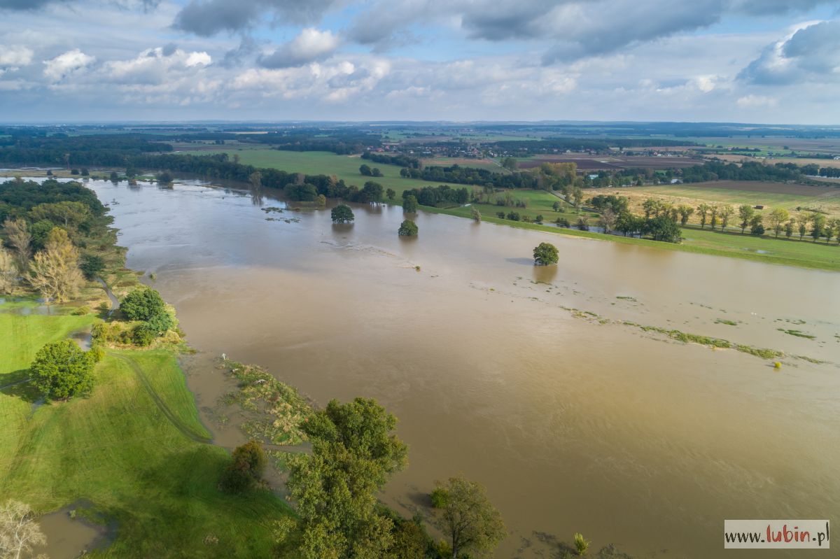 Odra_podtopienia Ścinawa-16