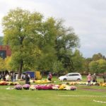 chryzantemy na błoniach, 29.10.2020 r (9)