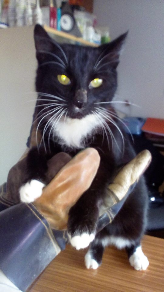 Czy ktoś widział Manię?