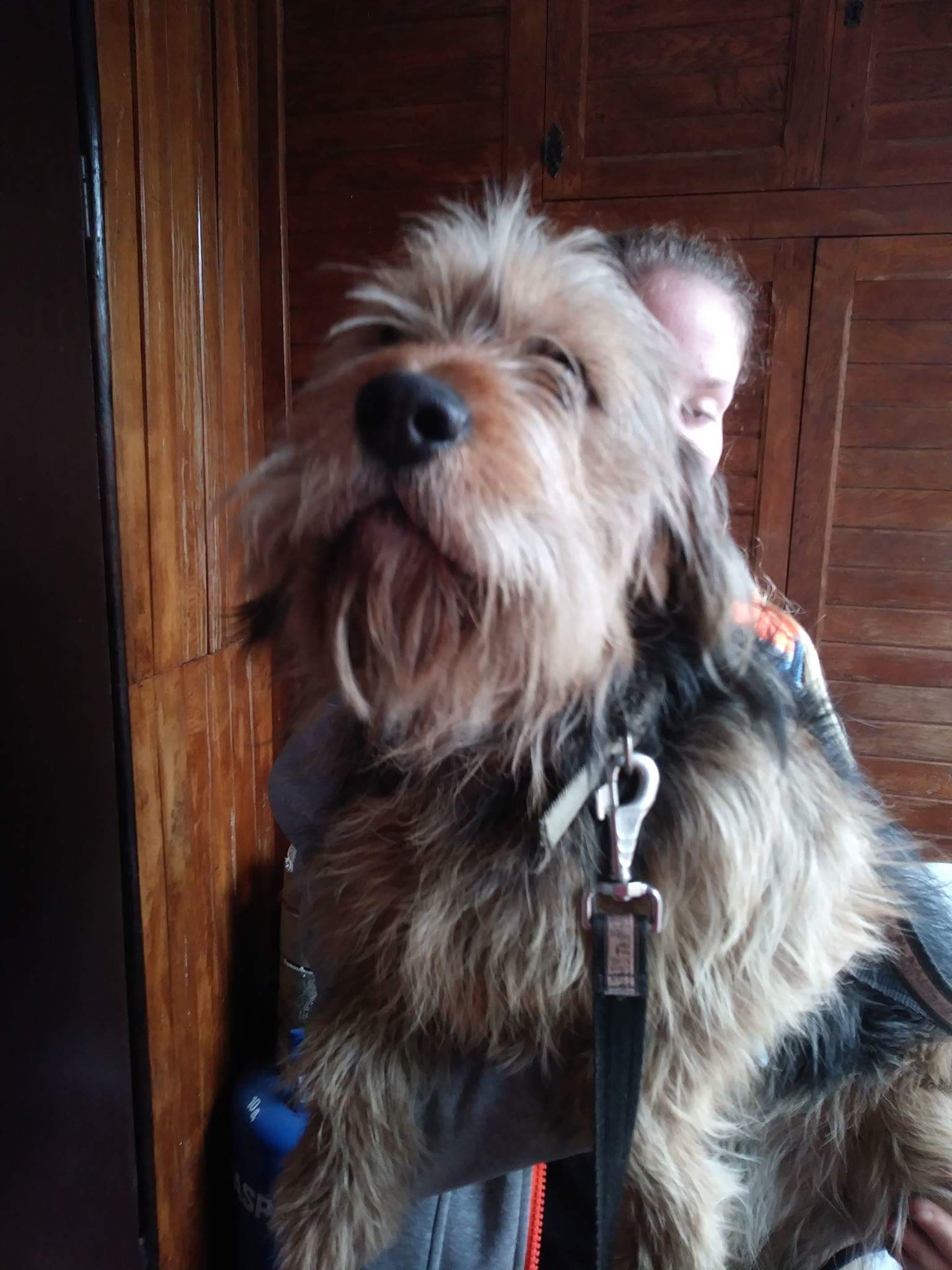 Filmowy poranek dla najmłodszych