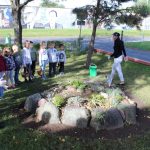 sadzenie żonkili, 05.10 (11)