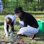 sadzenie żonkili, 05.10 (13)