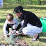 sadzenie żonkili, 05.10 (14)