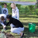 sadzenie żonkili, 05.10 (16)