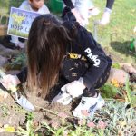 sadzenie żonkili, 05.10 (36)