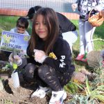 sadzenie żonkili, 05.10 (38)