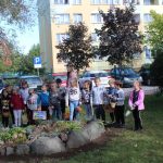 sadzenie żonkili, 05.10 (48)