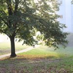 sesja, 22.10.2020 r (13)