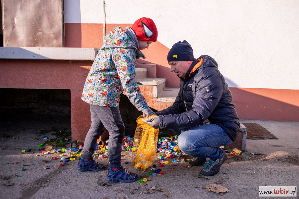 Pierwsze nakrętki z serc pojechały do skupu. Lubinianie zbierają nadal
