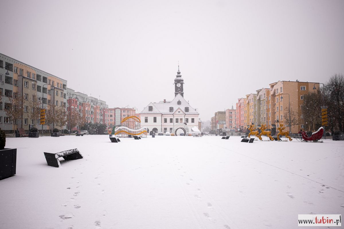 Zaśnieżony Lubin