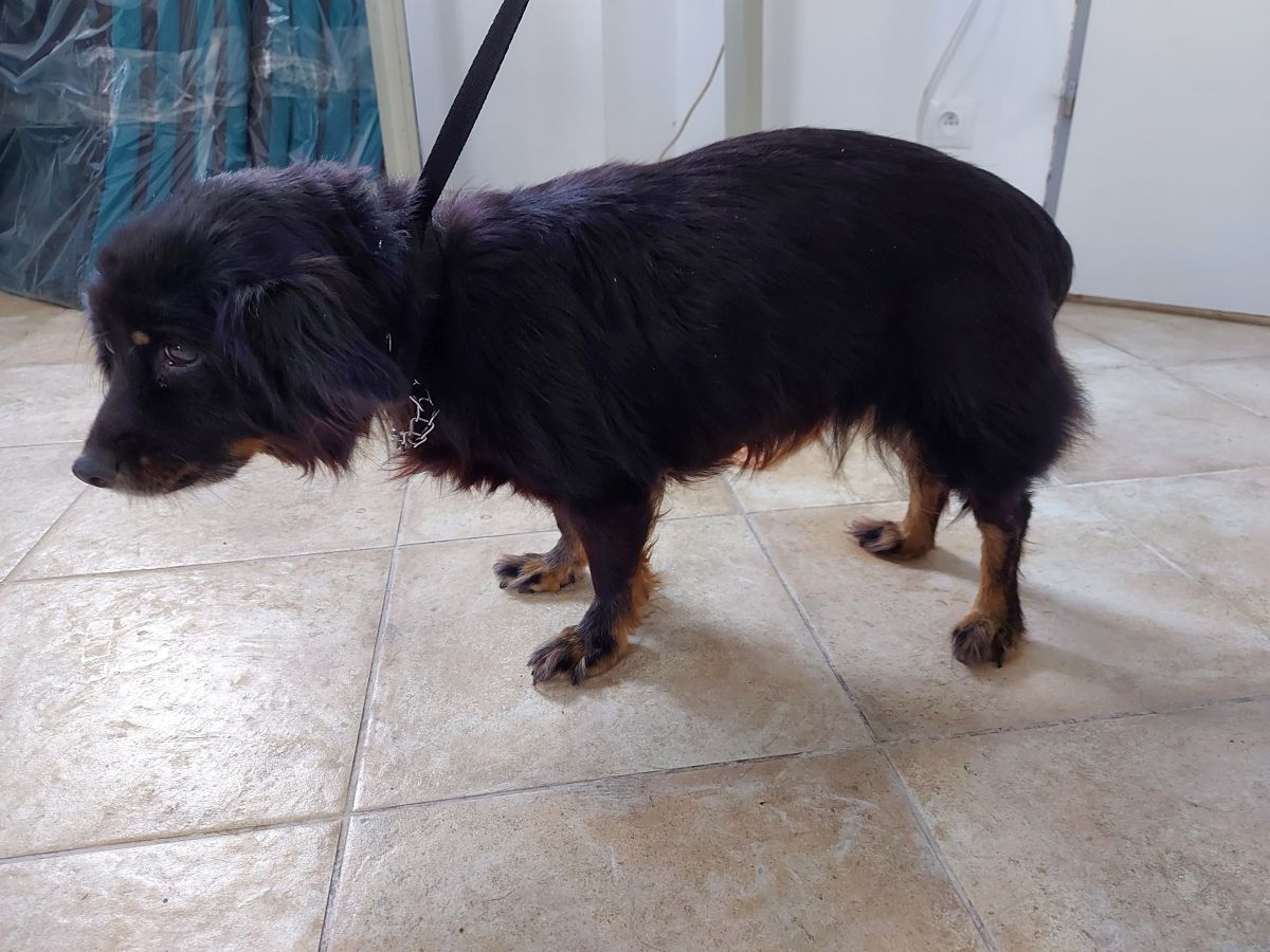 Czy ktoś jej szuka?