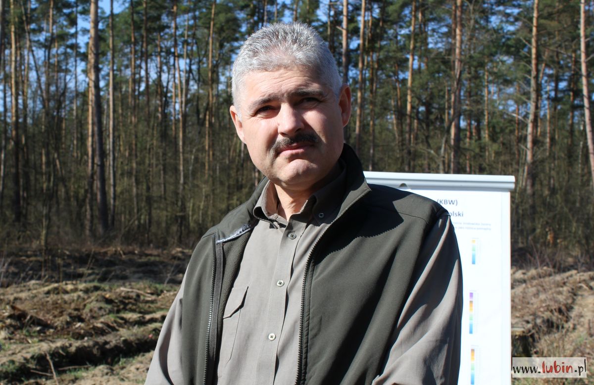 Nadleśnictwo Lubin Marek Nieruchalski (2)