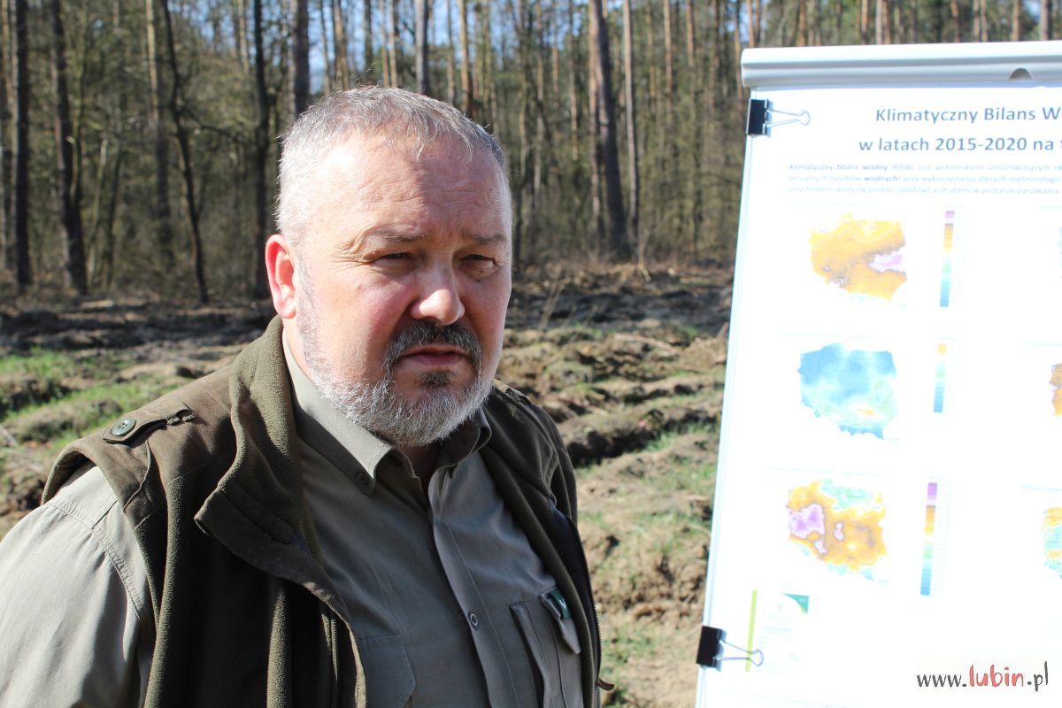 Nadleśnictwo Lubin Norbert Wende (1)
