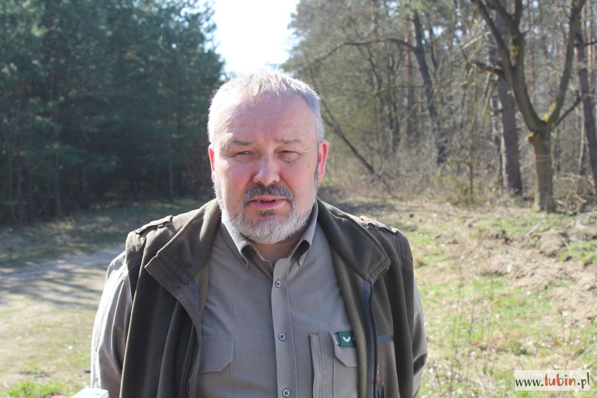 Nadleśnictwo Lubin Norbert Wende (2)