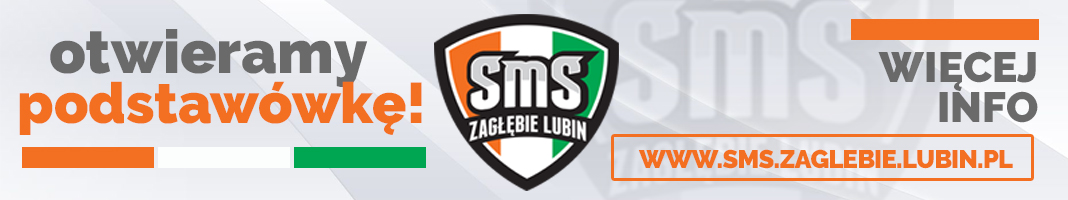 SMS-baner-lubinpl