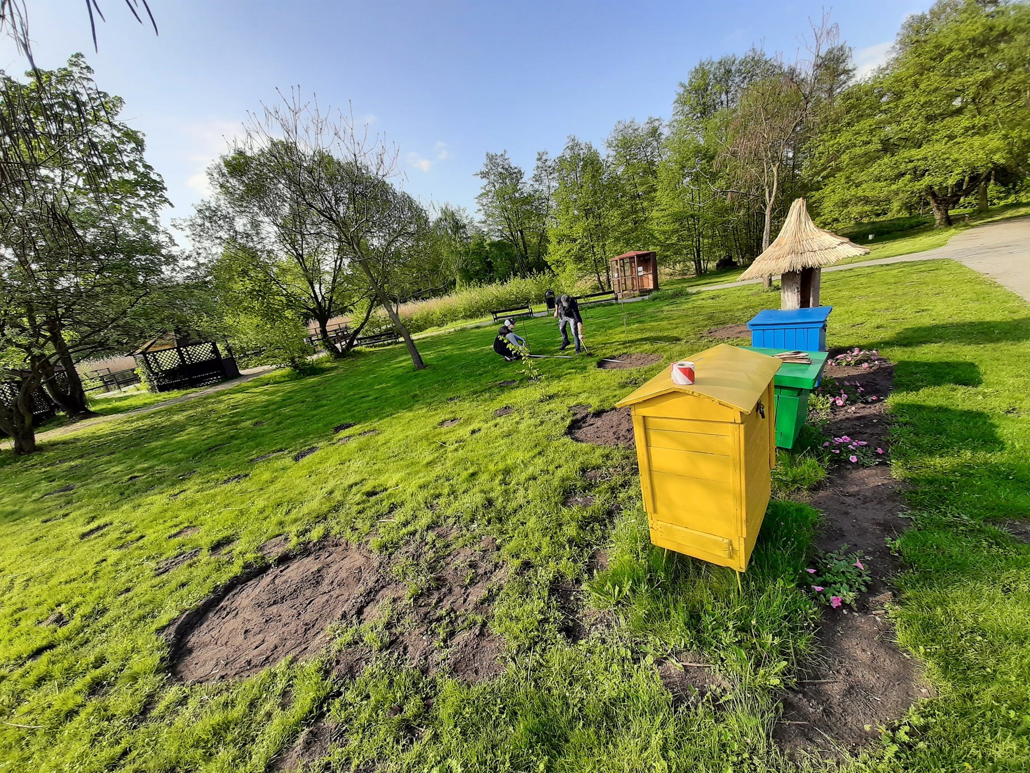 Łąka w prezencie dla… pszczół