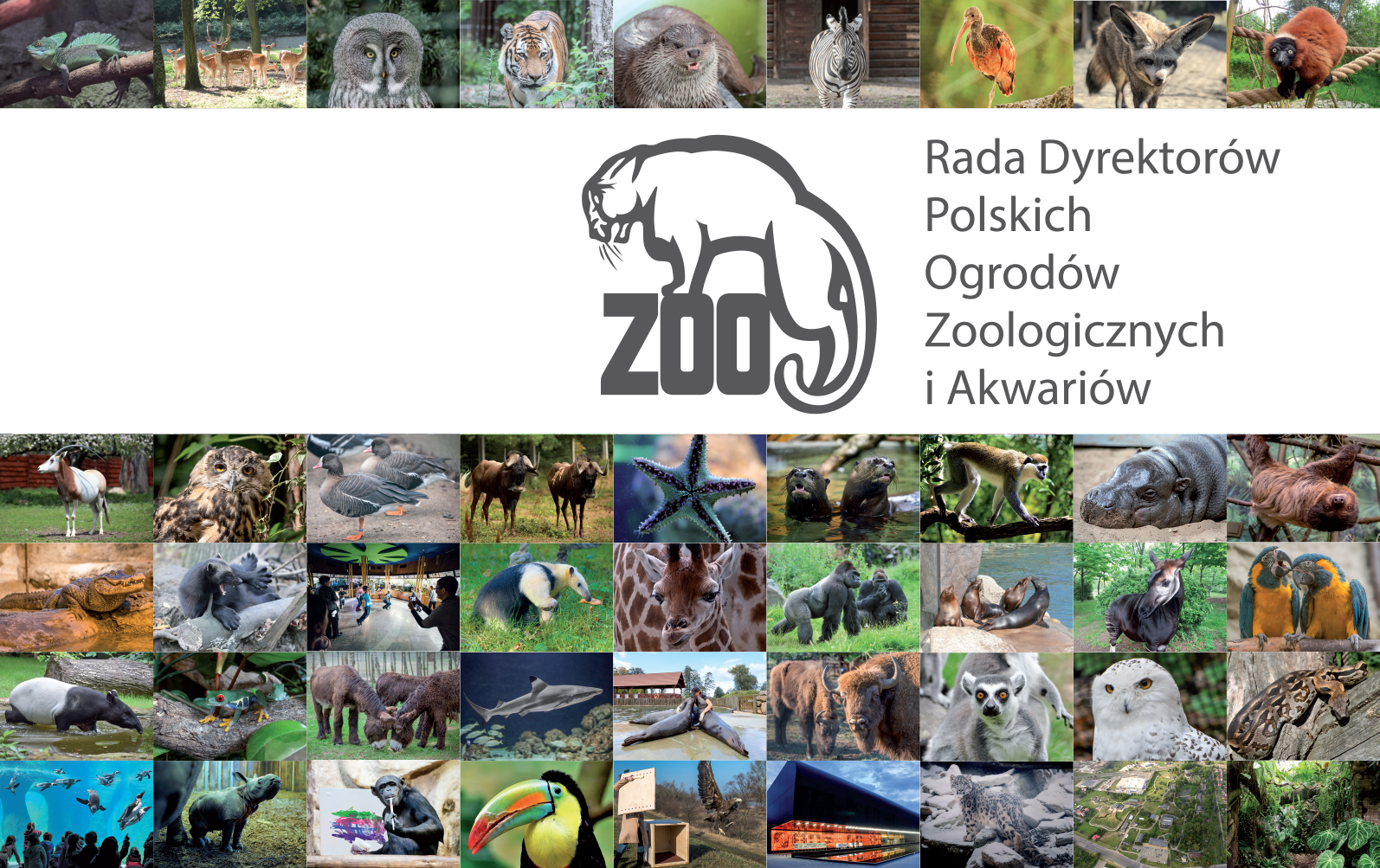 Ogrody zoologiczne na Facebooku