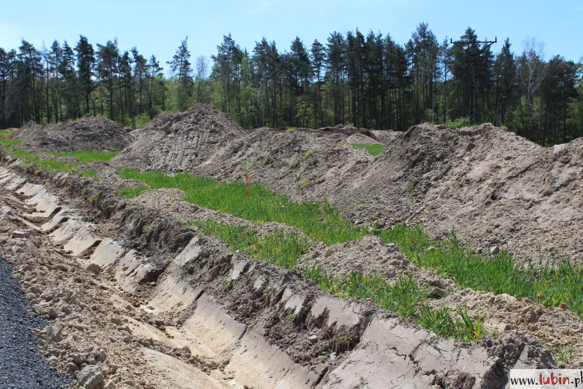 polesie, inwestycja (12)