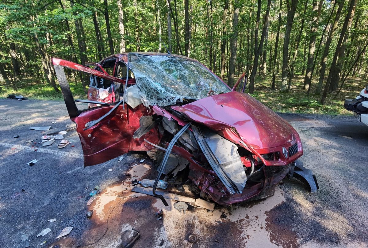 Wypadek: dziewięć osób rannych, droga zablokowana