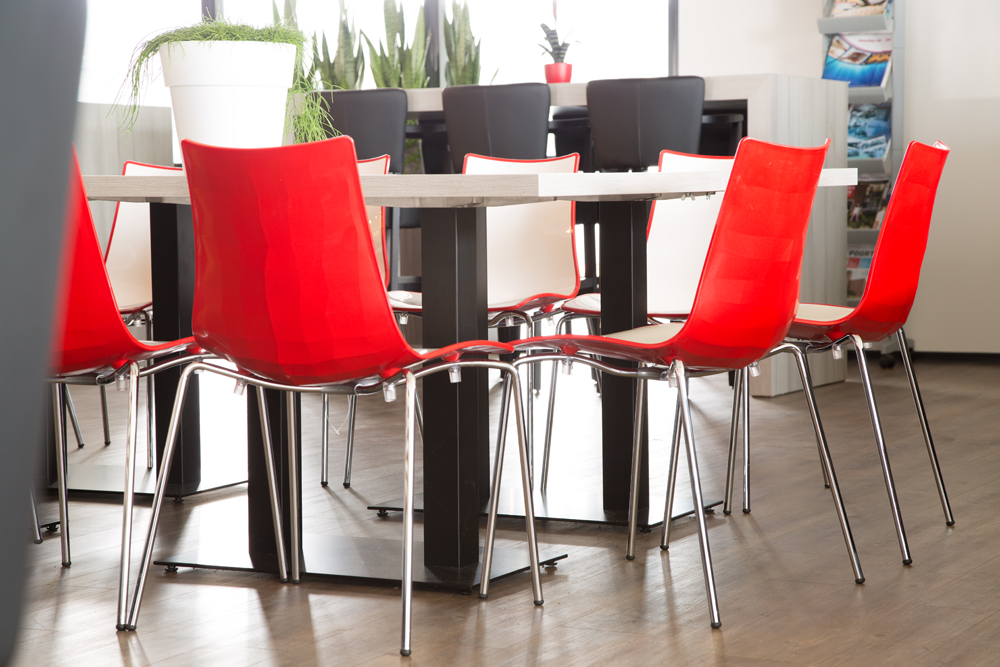 główne_neerlandiaurk1