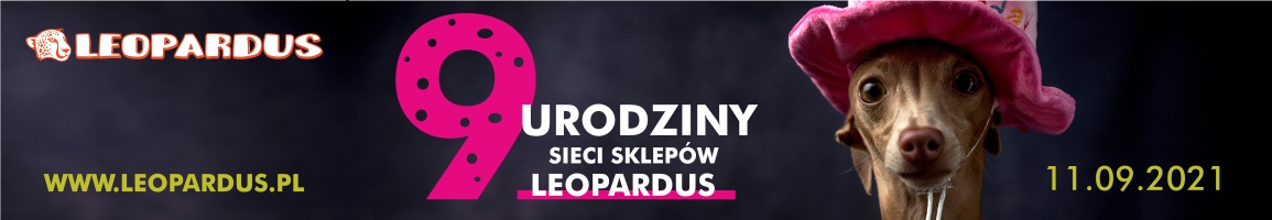 URODZINY21-1155×200