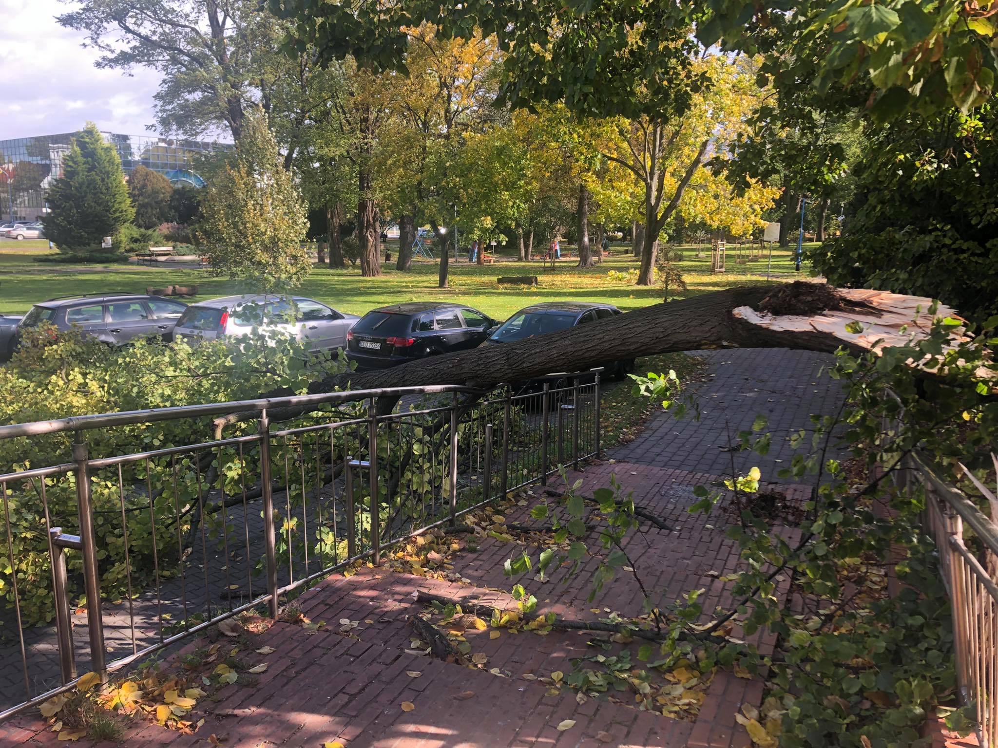 Szaleje wichura – poprzewracane drzewa, pozrywane linie, są też ranni