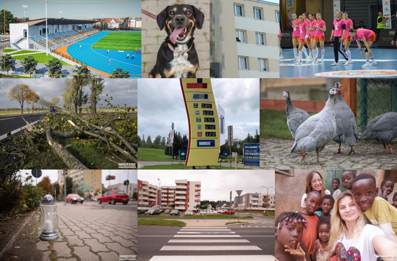 Podsumowanie wydarzeń tygodnia