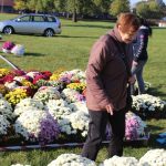 chryzantemy, kwiaty na błoniach, 29.10 (25)