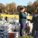 chryzantemy, kwiaty na błoniach, 29.10 (38)