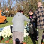 chryzantemy, kwiaty na błoniach, 29.10 (43)