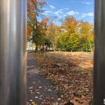 inkubator, rozpoczęcie prac, 2021 (2)