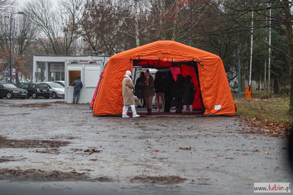 Stawiają namiot dla czekających w kolejce