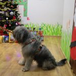 Zielone Przedszkole, TOZ (3)