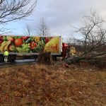 ciężarówka, krzeczyn mały (18)