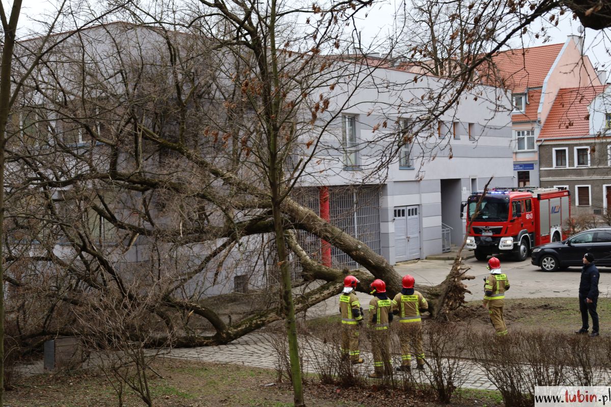 Połamane drzewa i zerwane dachy, czyli skutki weekendowej wichury