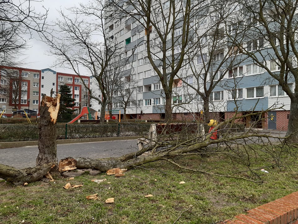 Zerwane dachy i powalone drzewa, czyli krajobraz po orkanie