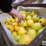 Bazar rolnicy zakupy targ (2)
