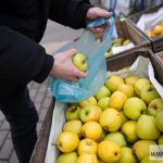 Bazar rolnicy zakupy targ (4)